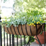 garden care