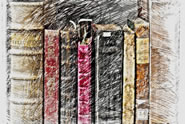den library